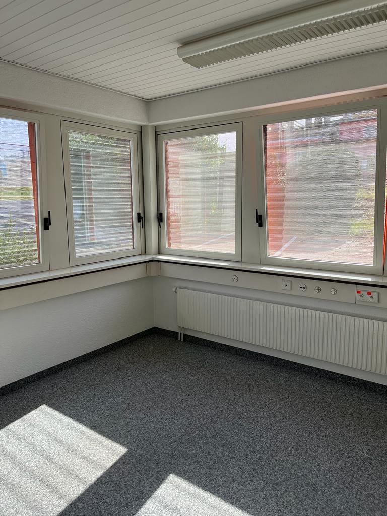 Fenster nachher