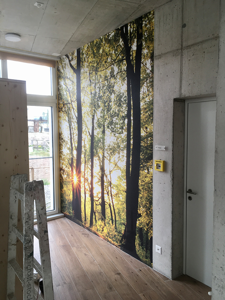 Renovation im Keller
