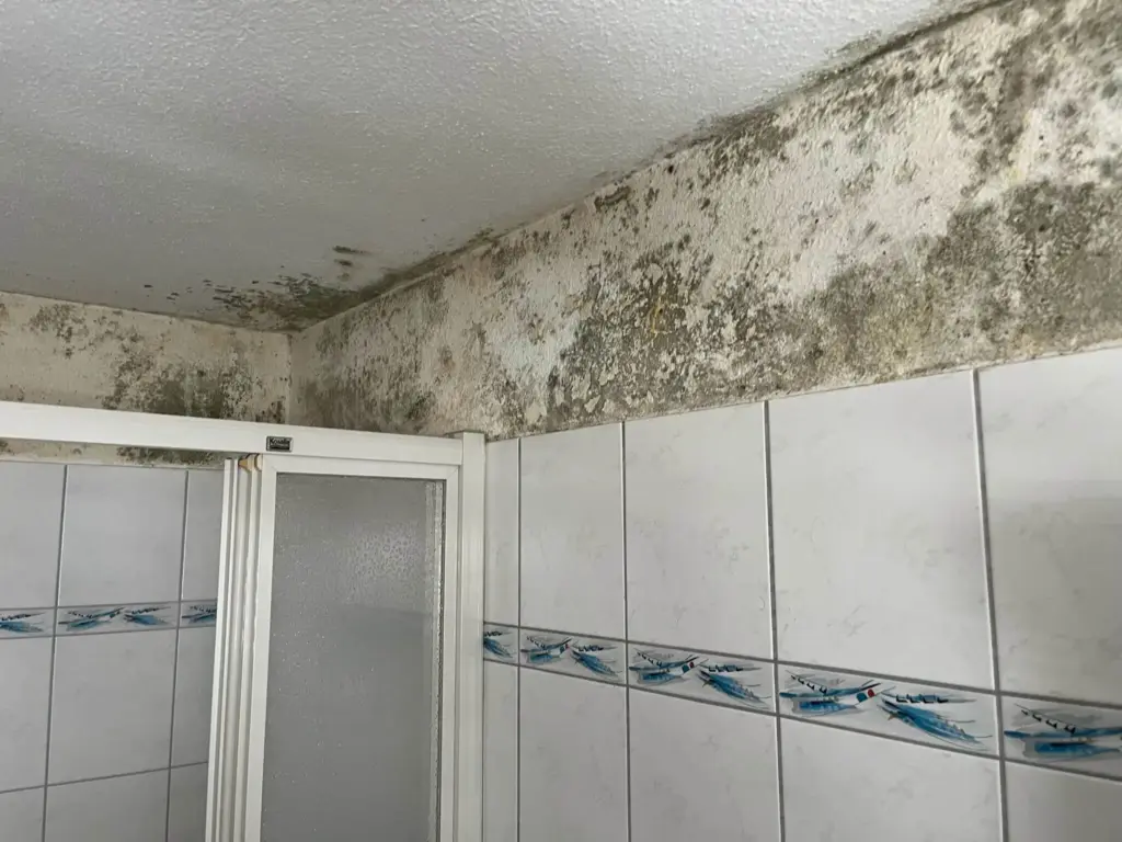 Badezimmerwand und Deckenecke mit starkem Schimmelbefall vor der Sanierung